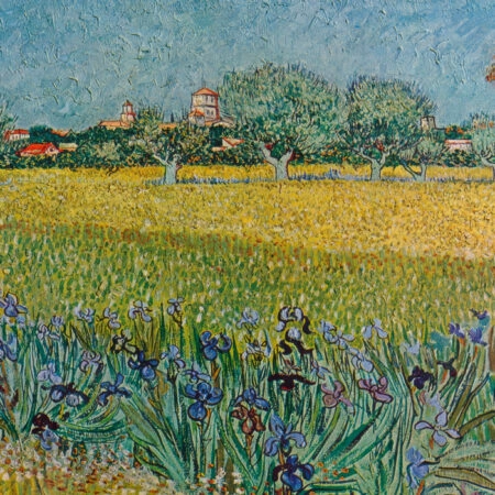 Πινακας σε καμβά VAN GOGH - VIEW OF ALES WITH IRISES IN BLOOM - Vincent Van Gogh Sticky 5
