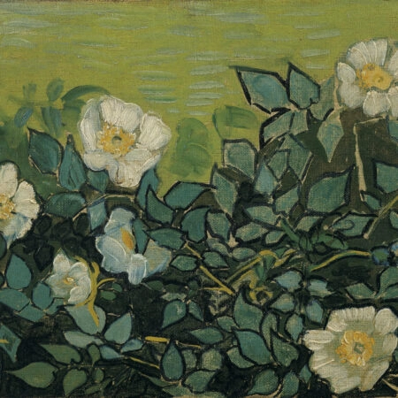 Πινακας σε καμβά VAN GOGH - WILD ROSES - Vincent Van Gogh Sticky 6