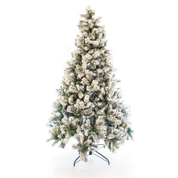 SNOWY FIR TREE EDINBURGH, HEIGHT 240cm