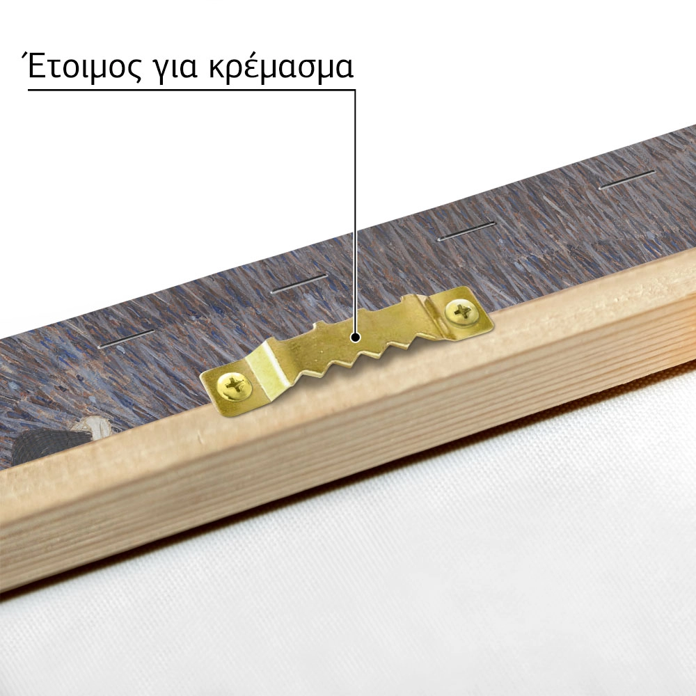 Πινακας σε καμβά KLIMT - BEETHOVEN FRIEZE