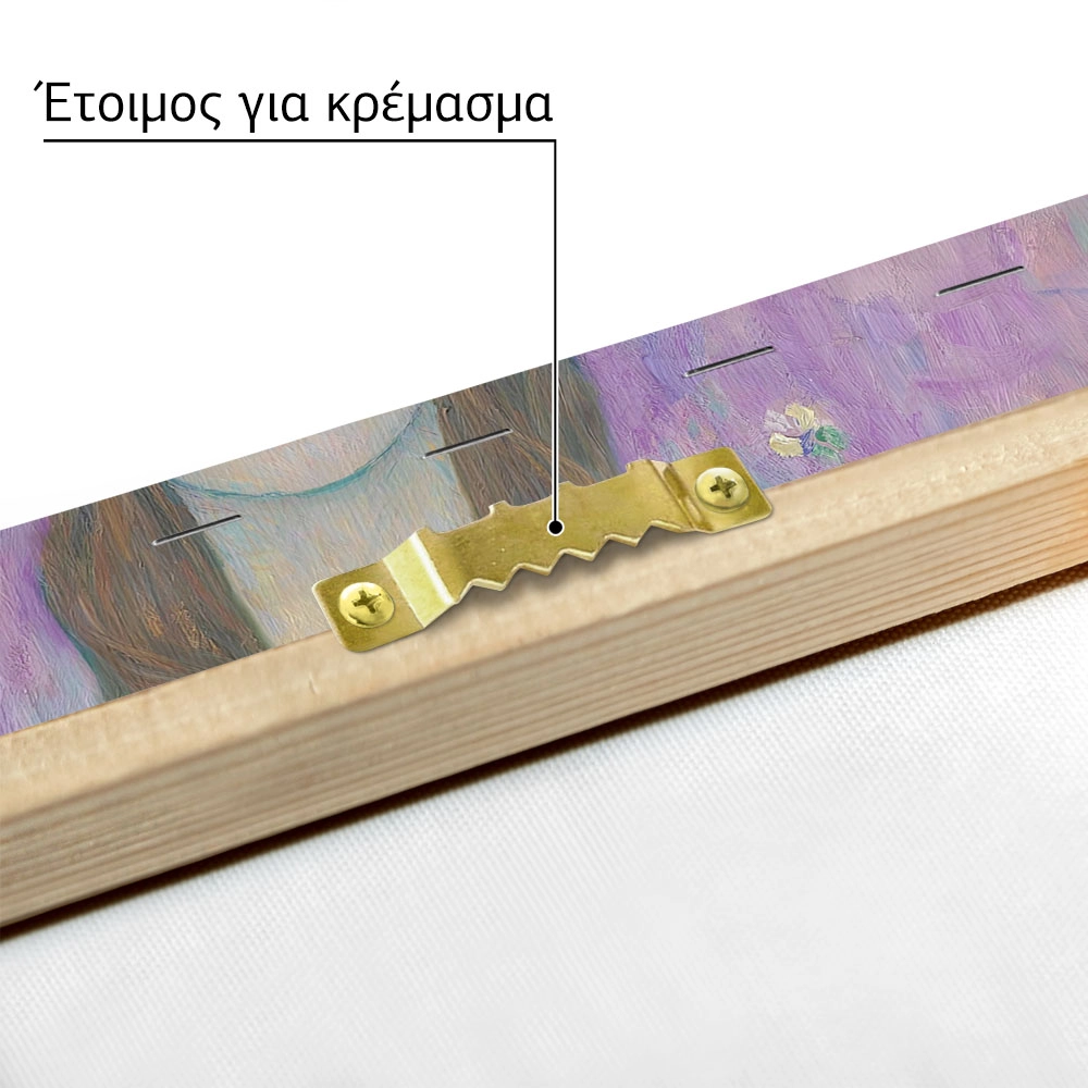 Πινακας σε καμβά KLIMT - MADA PRIMAVESI