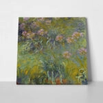 Πίνακας σε καμβά MONET - AGAPANTHUS