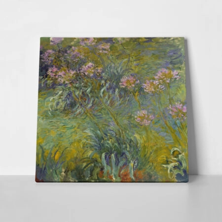 Πίνακας σε καμβά MONET - AGAPANTHUS - Monet Claude