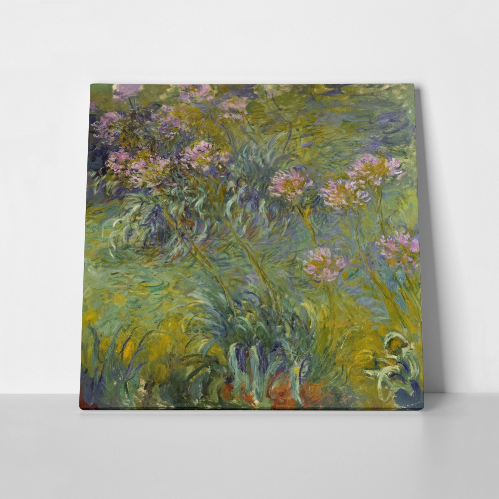 Πίνακας σε καμβά MONET - AGAPANTHUS