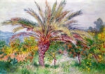 Πινακας σε καμβά MONET - PALM TREE AT BORDIGHERA