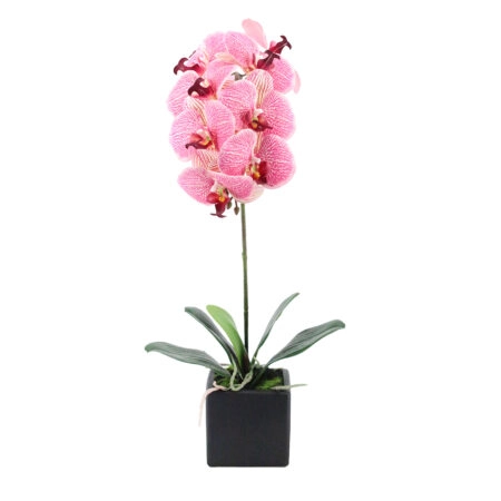 ORCHIDEA ΛΟΥΛΟΥΔΙ ΤΕΧΝΗΤΟ ΣΕ ΓΛΑΣΤΡΑ 63cm PEVA ΡΟΖ ΚΙΤΡΙΝΟ ΚΕΡΑΜΙΚΟ - Τεχνητες Ορχιδεες