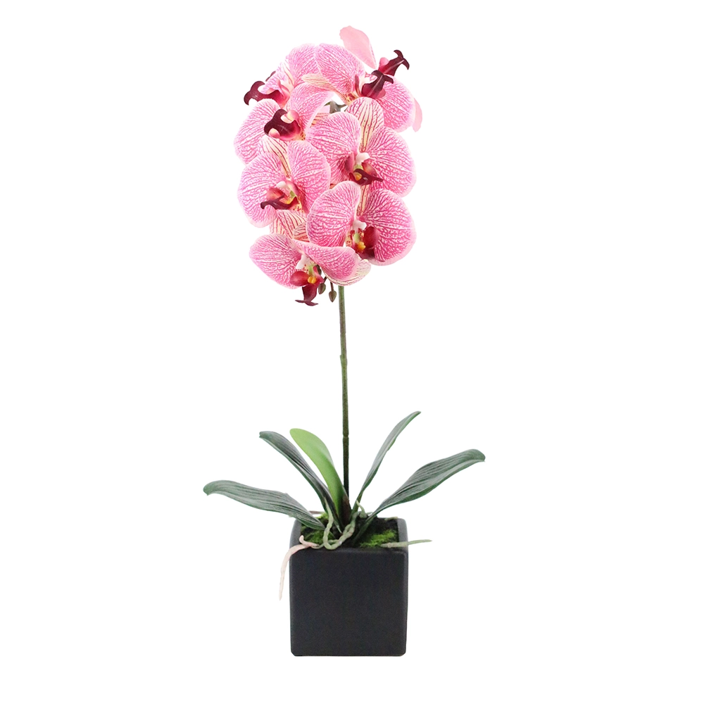 ORCHIDEA ΛΟΥΛΟΥΔΙ ΤΕΧΝΗΤΟ ΣΕ ΓΛΑΣΤΡΑ 63cm PEVA ΡΟΖ ΚΙΤΡΙΝΟ ΚΕΡΑΜΙΚΟ