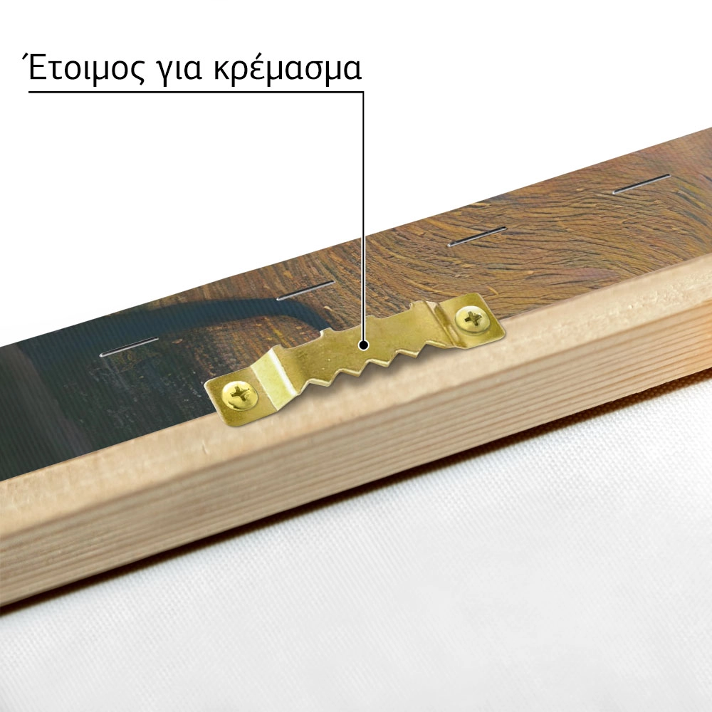 Πίνακας Πανοραμικός σε καμβά KLIMT - GOLDFISH PANORAMIC