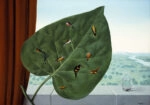 Πινακας σε καμβά MAGRITTE - THE INNER GAZE