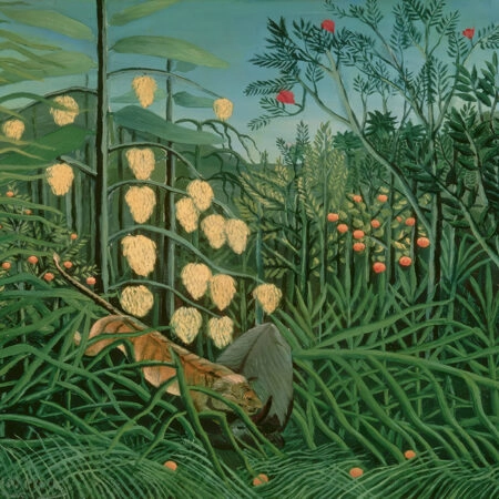 Πινακας σε καμβά HENRI ROUSSEAU - BATTLING TIGER AND BUFFALO - Henri Rousseau Sticky 5