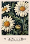 Πινακας σε καμβά WILLIAM MORRIS - DAISY