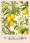 Πινακας σε καμβά WILLIAM MORRIS - LEMON TREE
