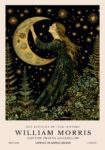 Πινακας σε καμβά WILLIAM MORRIS - MOON AND GIRL