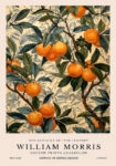 Πινακας σε καμβά WILLIAM MORRIS - ORANGE TREE