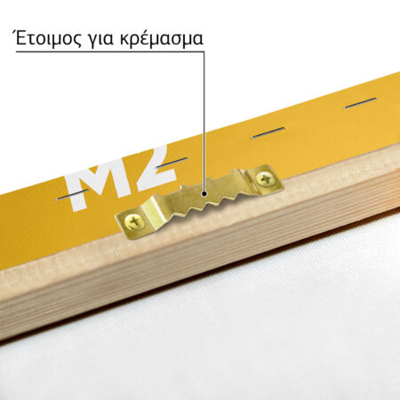 Πινακας σε καμβά BMW M2 - Αυτοκινητα Sticky 4