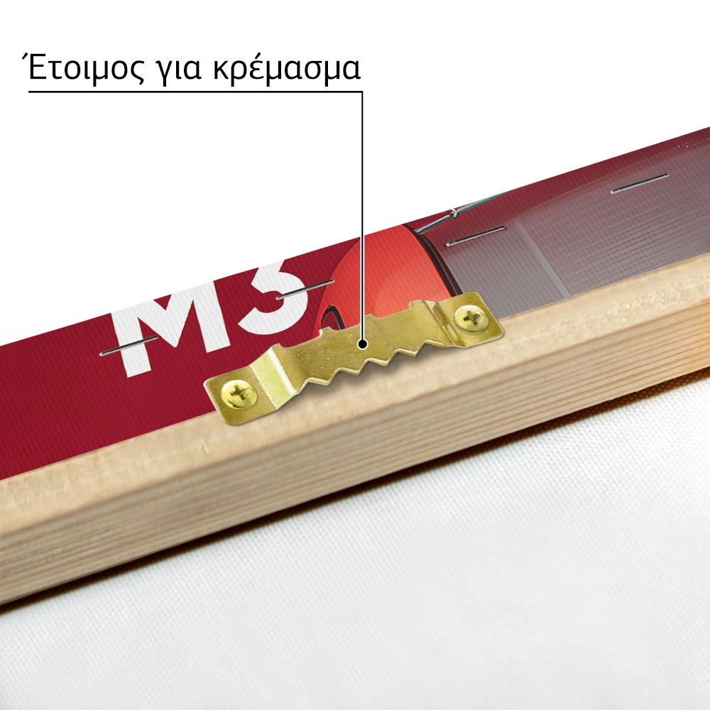 Πινακας σε καμβά BMW M3 RED