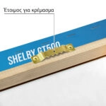 Πινακας σε καμβά FORD SHELBY GT500