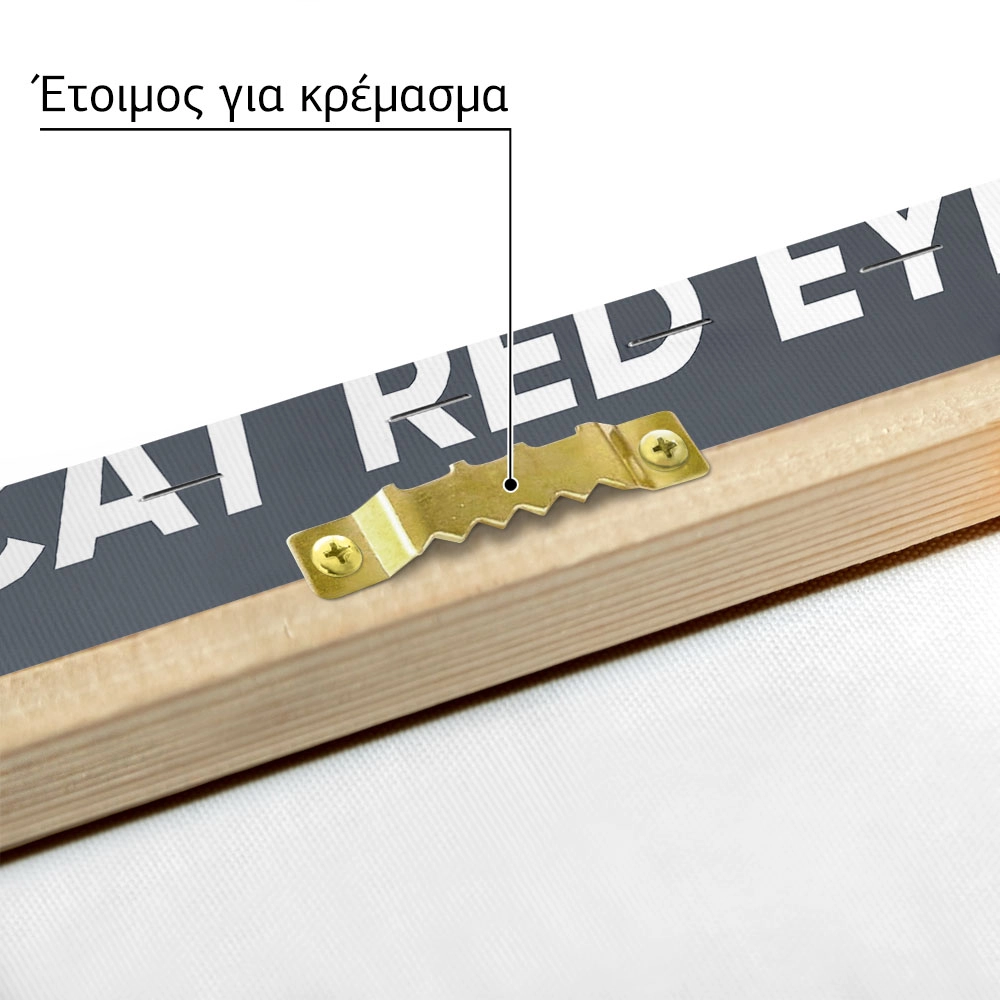 Πινακας σε καμβά HELLCAT RED EYE