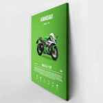 Πινακας σε καμβά KAWASAKI NINJA ZX-10R IMPERIAL