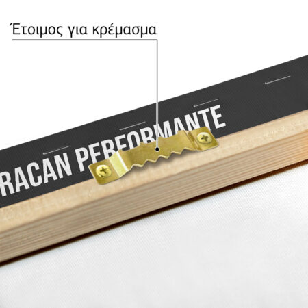 Πινακας σε καμβά LAMBORGHINI HURRACAN PERFORMANTE WHITE IMPERIAL - Αυτοκινητα Sticky 4