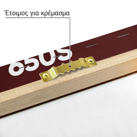 Πινακας σε καμβά MCLAREN 650S - Αυτοκινητα Sticky 4
