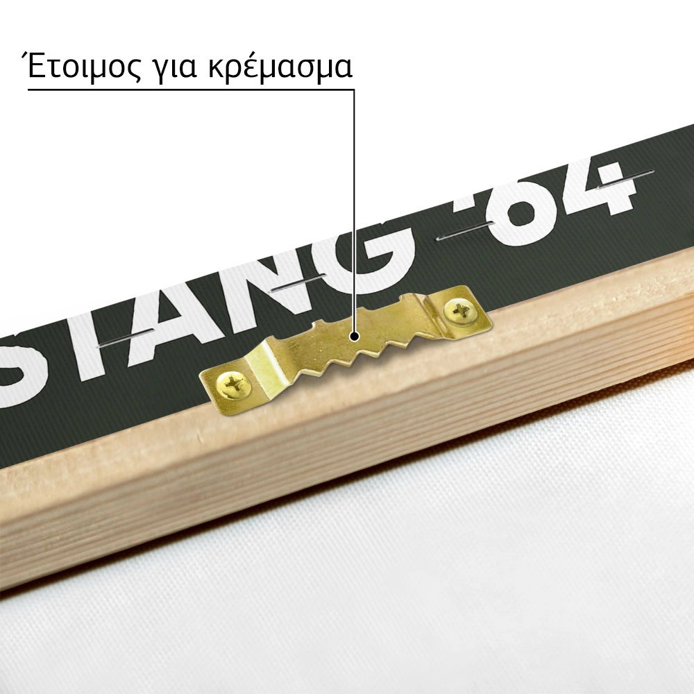 Πινακας σε καμβά MUSTANG 1964
