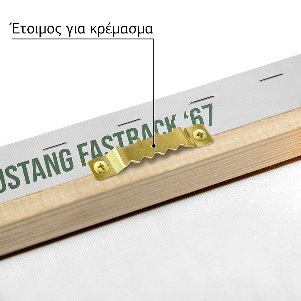 Πινακας σε καμβά MUSTANG FASTBACK