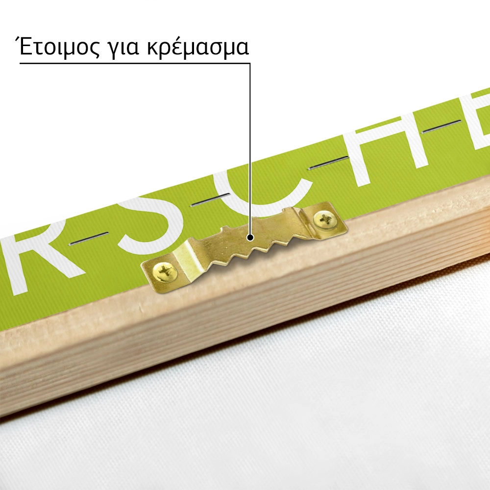 Πινακας σε καμβά PORSCHE GREEN
