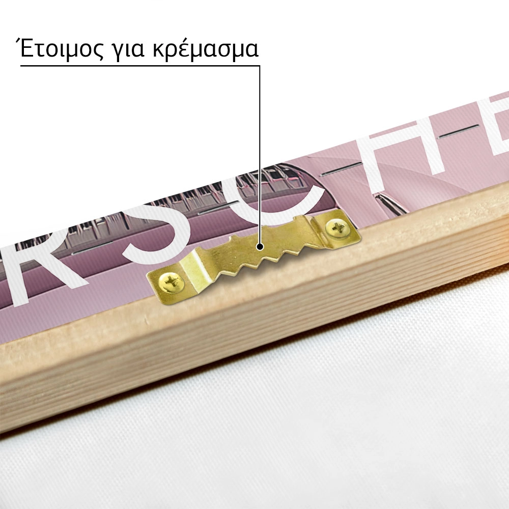 Πινακας σε καμβά PORSCHE PINK