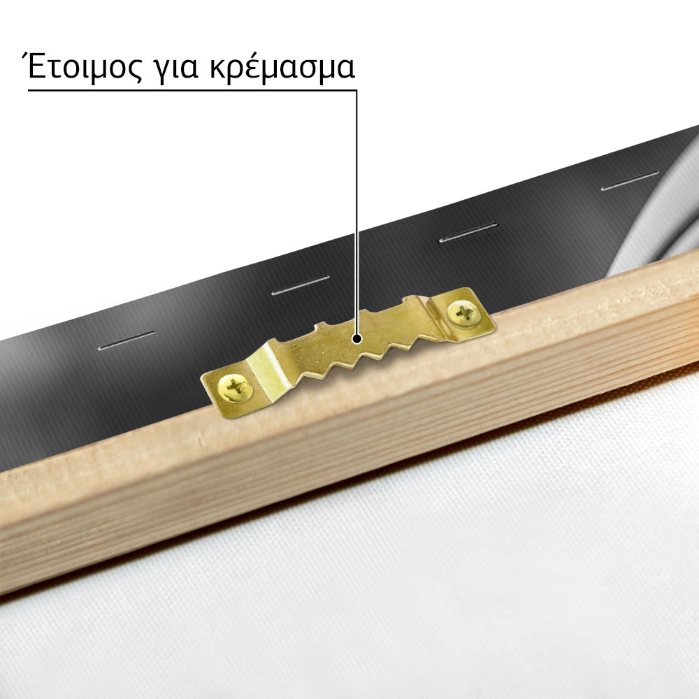 Πινακας σε καμβά PORSCHE SIDE VIEW