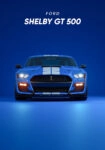 Πινακας σε καμβά SHELBY GT 500