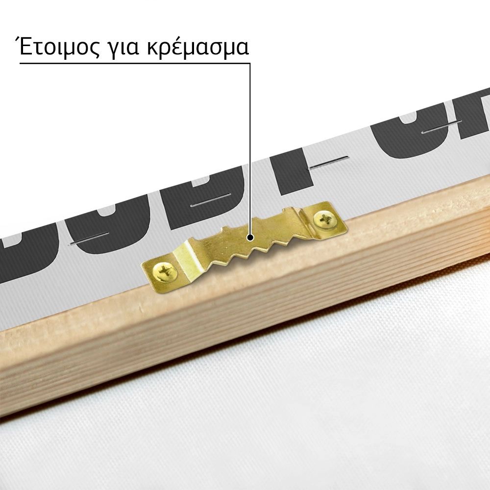 Πινακας σε καμβά SOMEBODY CALL 911