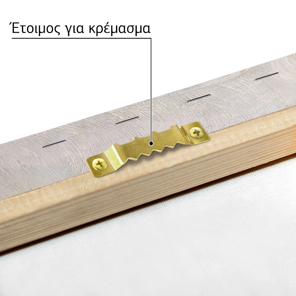 Πινακας σε καμβά ΚΩΝΣΤΑΝΤΙΝΟΣ ΜΑΛΕΑΣ - ΘΕΑ ΣΤΗΝ ΑΚΡΟΠΟΛΗ