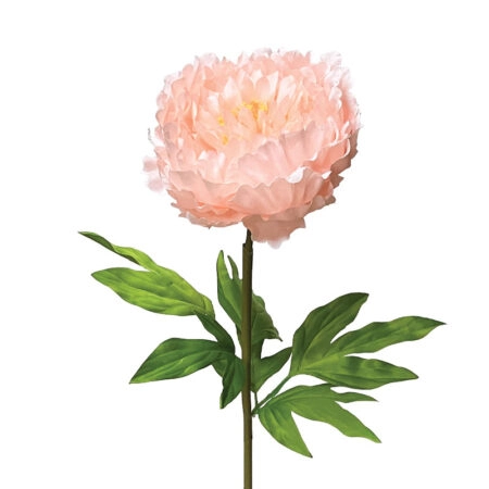ΣΟΜΟΝ ΚΛΑΔΙ ΠΑΙΩΝΙΑ ΜΕ ΚΟΤΣΑΝΙ - Φ22x90cm 12/ΚΙΒ - Λουλουδια Γιγας