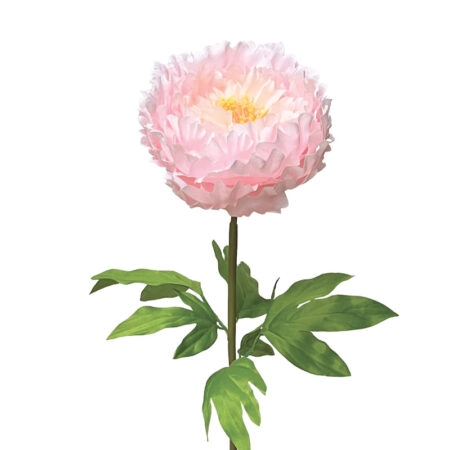 ΡΟΖ ΚΛΑΔΙ ΠΑΙΩΝΙΑ ΜΕ ΚΟΤΣΑΝΙ - Φ22x90cm 12/ΚΙΒ - Λουλουδια Γιγας