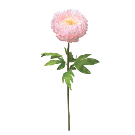ΡΟΖ ΚΛΑΔΙ ΠΑΙΩΝΙΑ ΜΕ ΚΟΤΣΑΝΙ - Φ22x90cm 12/ΚΙΒ - Λουλουδια Γιγας Sticky 1