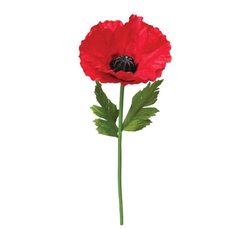 ΚΟΚΚΙΝΟ ΚΛΑΔΙ ΠΑΠΑΡΟΥΝΑ XL - Φ40x120cm 24/ΚΙΒ - Λουλουδια Γιγας Sticky 1