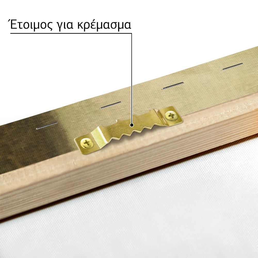 Πινακας σε καμβά ΓΕΩΡΓΙΟΣ ΙΑΚΩΒΙΔΗΣ - Η ΠΡΟΣΦΥΓΟΠΟΥΛΑ