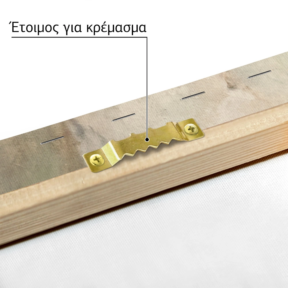Πινακας σε καμβά ΓΕΩΡΓΙΟΣ ΙΑΚΩΒΙΔΗΣ - ΚΟΥΚΟΥ
