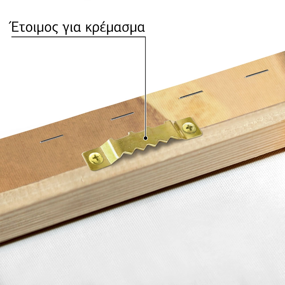 Πινακας σε καμβά ΓΕΩΡΓΙΟΣ ΙΑΚΩΒΙΔΗΣ - ΠΑΡΑΦΩΝΙΑ