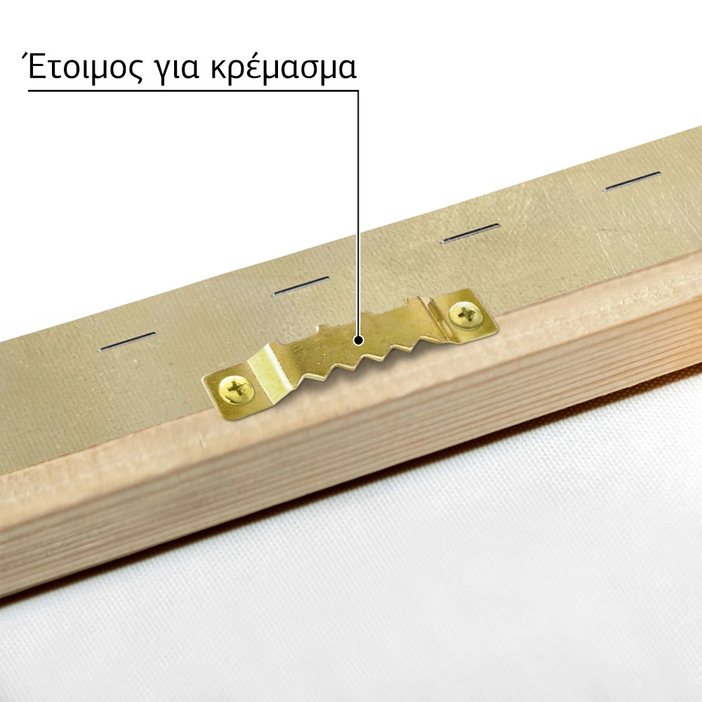 Πινακας σε καμβά ΓΕΩΡΓΙΟΣ ΙΑΚΩΒΙΔΗΣ - ΡΟΔΙΑ