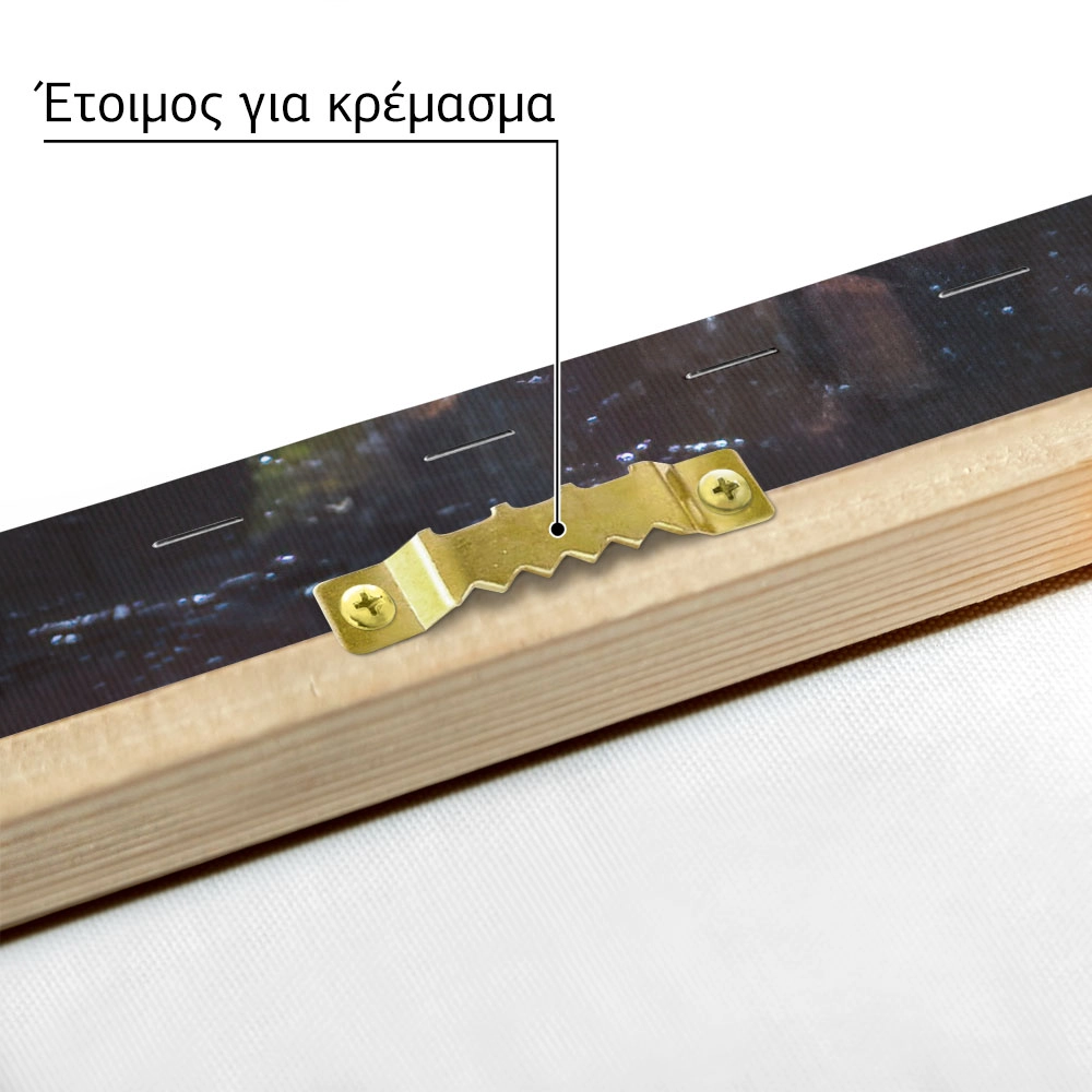 Πινακας σε καμβά ΛΕΜΠΕΣΗΣ ΠΟΛΥΧΡΟΝΗΣ - ΚΑΛΑΘΙ ΜΕ ΦΡΟΥΤΑ