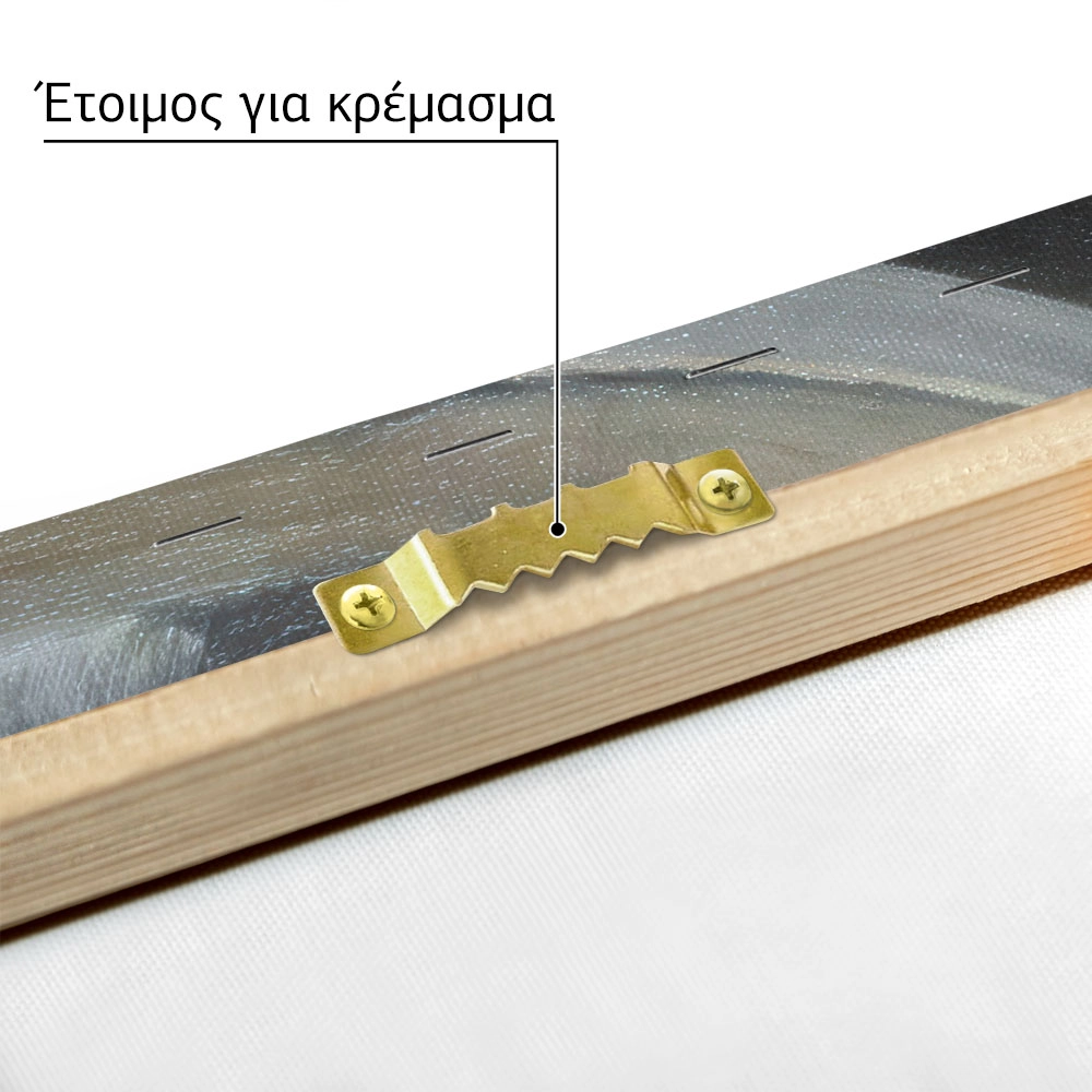 Πινακας σε καμβά ΝΙΚΗΦΟΡΟΣ ΛΥΤΡΑΣ - ΝΕΚΡΗ ΦΥΣΗ