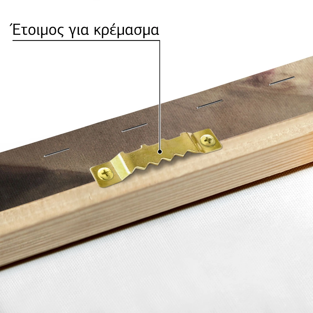 Πινακας σε καμβά ΝΙΚΗΦΟΡΟΣ ΛΥΤΡΑΣ - ΤΟ ΦΙΛΗΜΑ