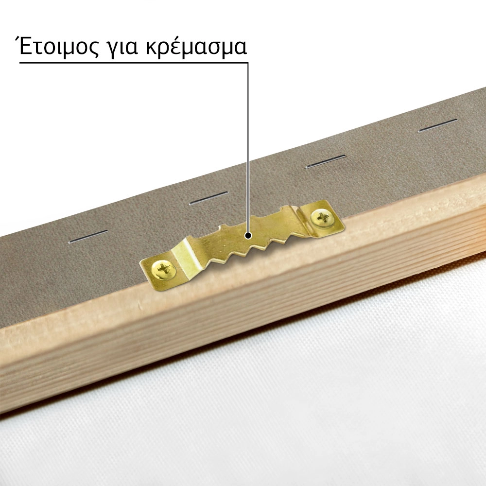 Πινακας σε καμβά ΝΙΚΟΛΑΟΣ ΓΥΖΗΣ - ΑΠΟΣΤΗΘΙΣΗ