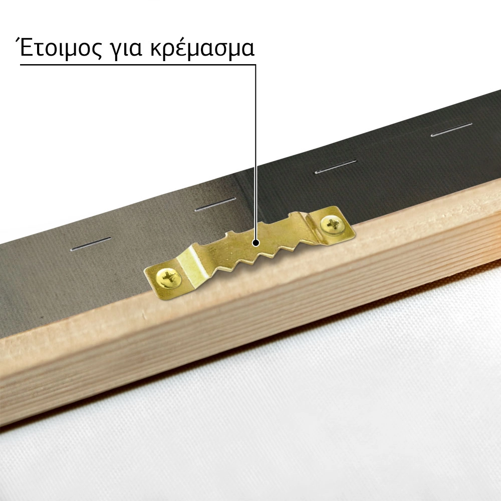 Πινακας σε καμβά ΝΙΚΟΛΑΟΣ ΓΥΖΗΣ - ΚΟΥΚΟΥ