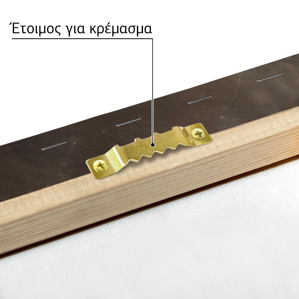 Πινακας σε καμβά ΠΕΡΙΚΛΗΣ ΠΑΝΤΑΖΗΣ - ΝΕΚΡΗ ΦΥΣΗ