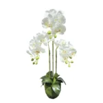 ΦΥΤΟ ΟΡΧΙΔΕΑ ΛΕΥΚΑ ΑΝΘΗ REAL TOUCH - Υ82cm