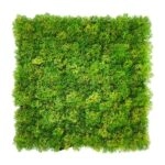 ΠΑΝΕΛ ΦΥΛΛΩΣΙΑΣ MOSS 50 Χ 50 A509
