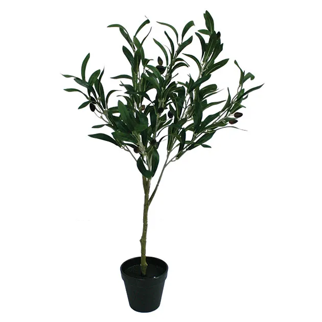 ΔΕΝΤΡΟ ΕΛΙΑΣ ΣΕ ΓΛΑΣΤΡΑ - Y65cm
